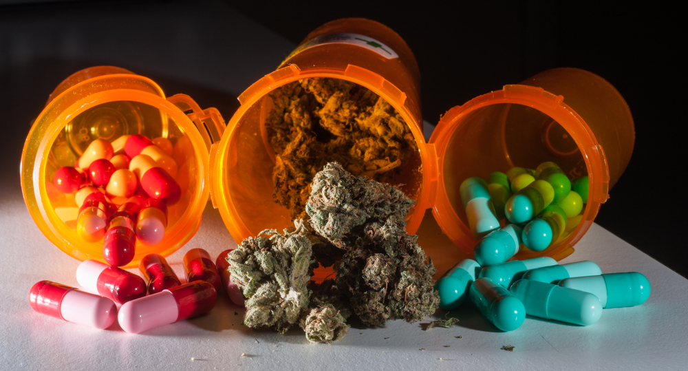Could Cannabis be “The Most Versatile Medicine” on Planet Earth?