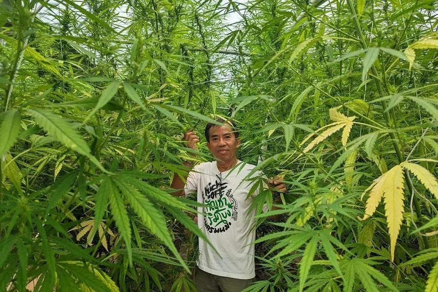 Enjoy Cannabis on a Spiritual Journey Through Thailand & it’s Beautiful Scenery.